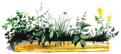 Planter.gif (27813 bytes)