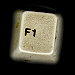 f1-info.jpg (2294 bytes)